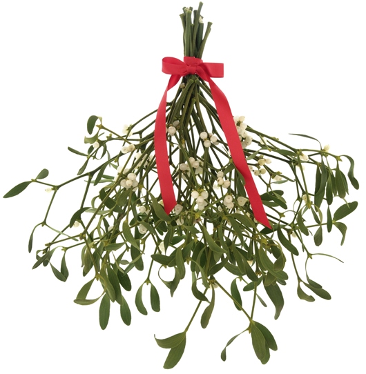 Mistletoe Magic